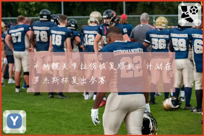 辛纳髋关节拉伤恢复顺利，计划在罗杰斯杯复出参赛